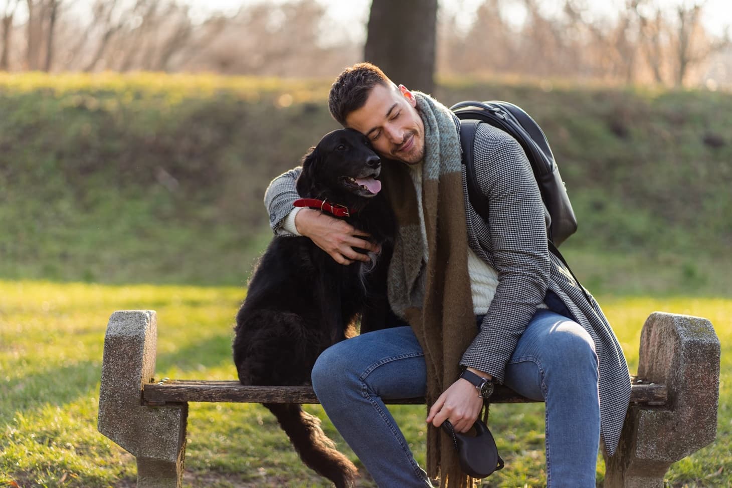 Article post image 20241104 Pet Volta Me to Skylo Xeimona Fthinoporo