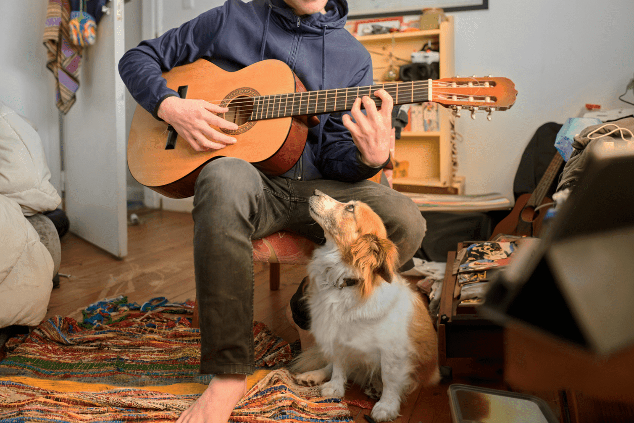 Article post image Asfaleia Pet Giati Ta Katoikia Agapoun Ti Mousiki