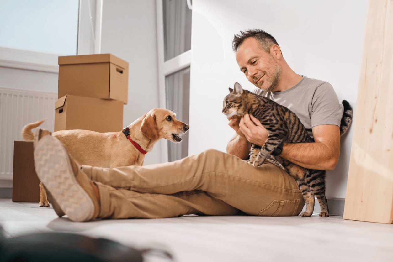 Article post image Pet Asfaleia Skylou Kai Gatas