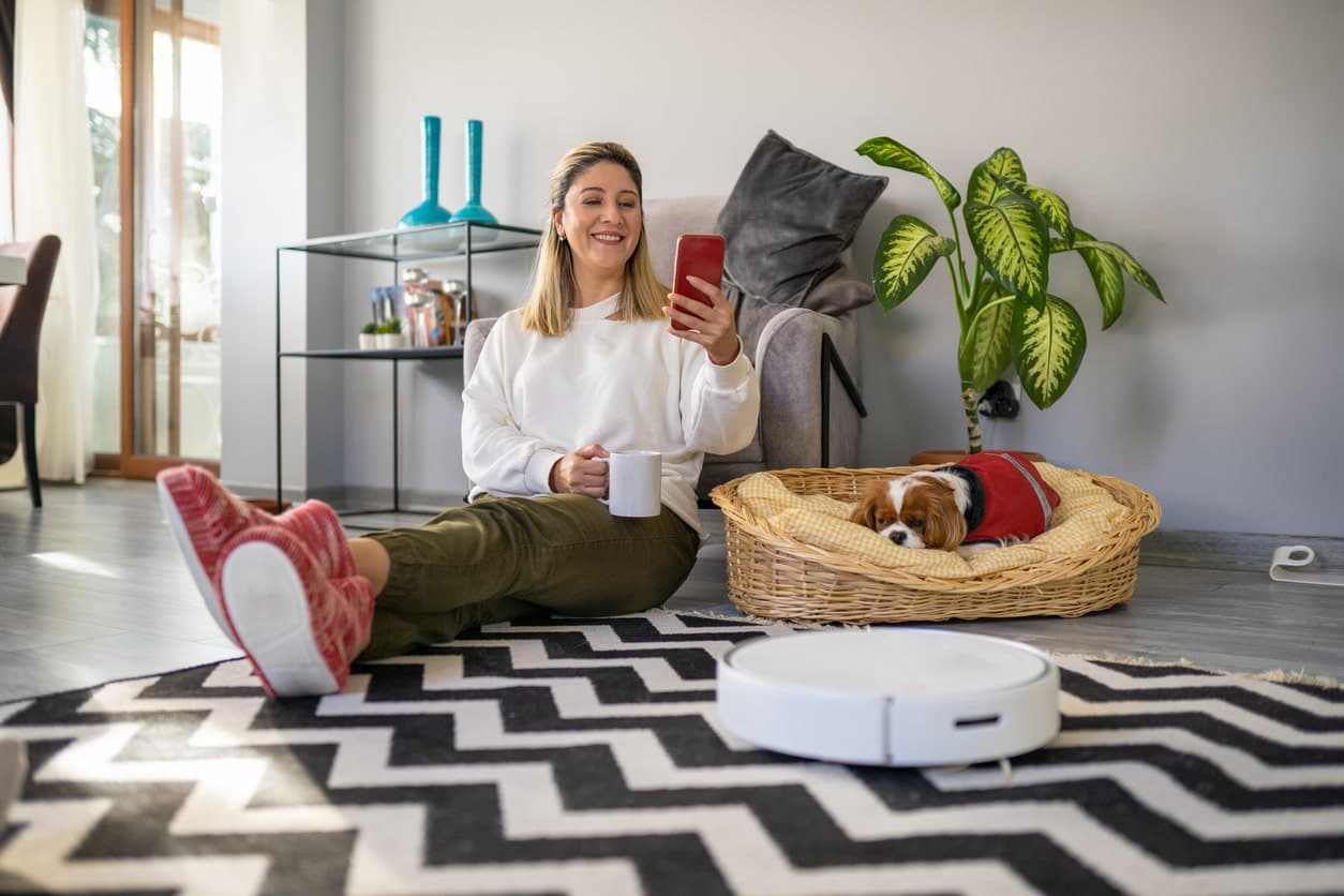 Article post image 20250128 Pet Katoikidio Sto Spiti