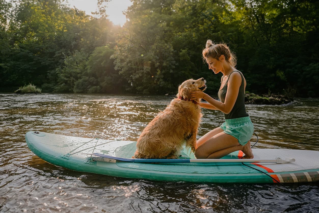 Article post image Asfaleia Pet Diakopes Kai Katoikidio