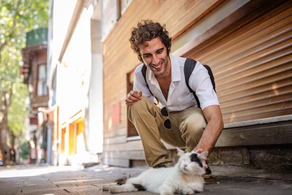 Article post image 20250917 Pet Katoikidio Yiothesia